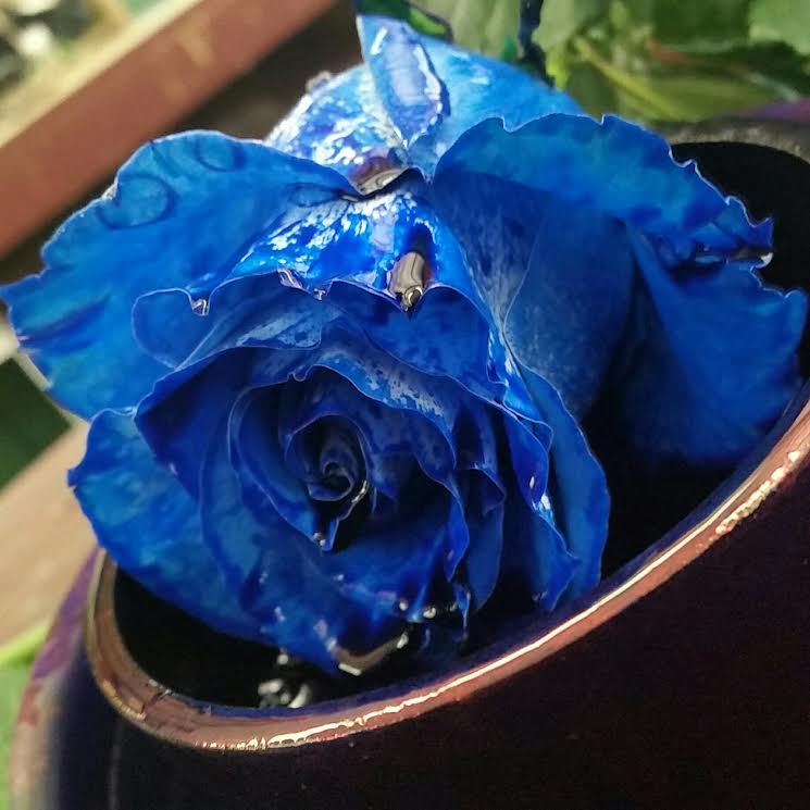 Blue Rose Flowers Near Me Black Roses Rainbow Roses And Blue Roses